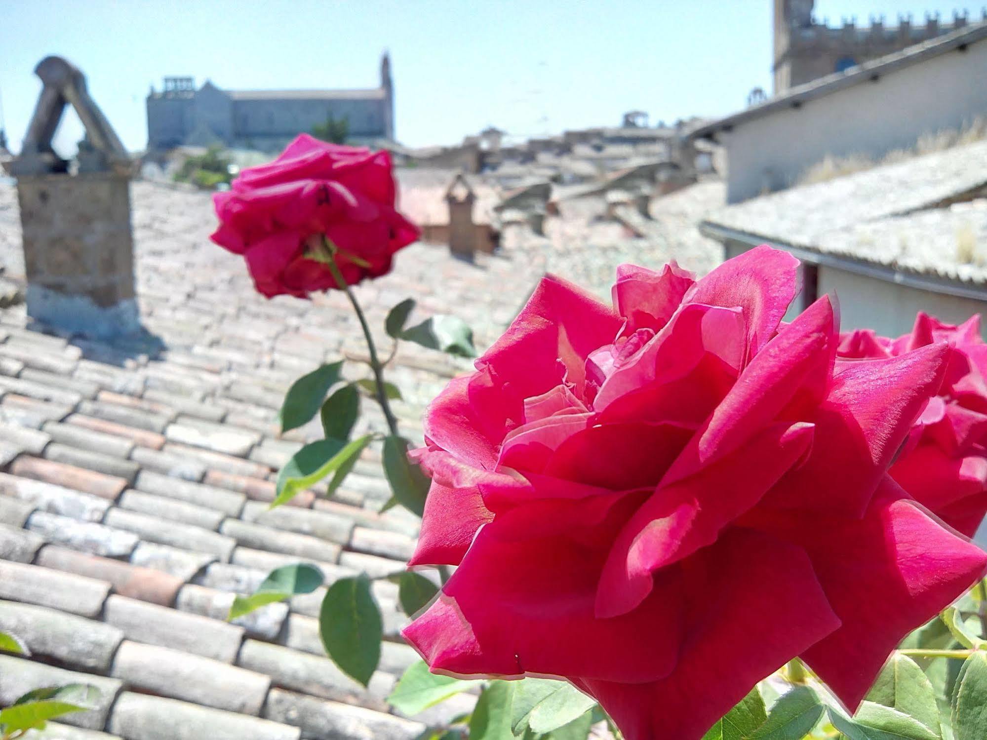 Orvieto In Terrazza Ξενοδοχείο Εξωτερικό φωτογραφία